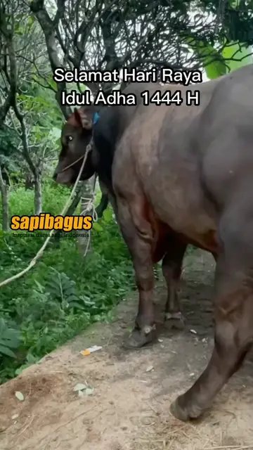 Selamat-Hari-Raya-Idul-Adha-1444-H-
